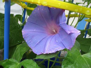IMG_8590.jpg
