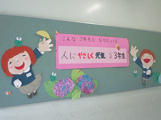 IMG_8616.jpg
