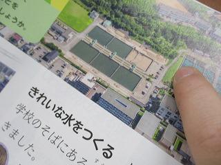 IMG_8662.jpg