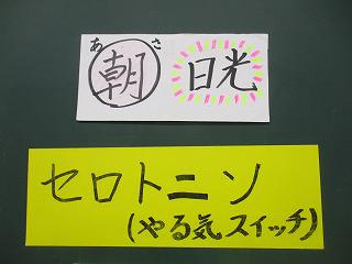 IMG_8824.jpg