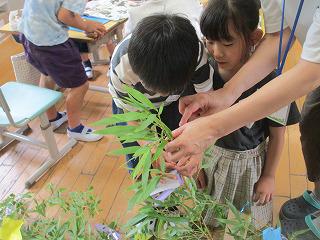 IMG_8875.jpg