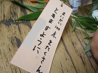 IMG_8877.jpg