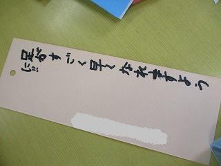 IMG_8882.jpg