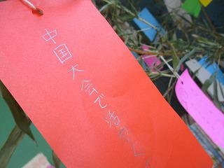 IMG_8955.jpg