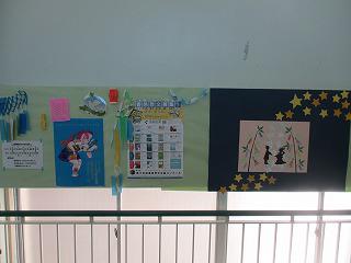 IMG_8988.jpg