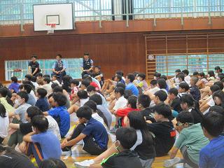 IMG_9253.jpg