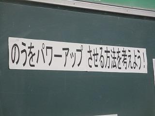 IMG_9295.jpg
