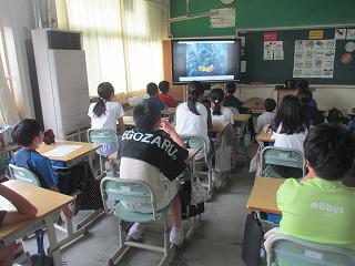 IMG_9441.jpg