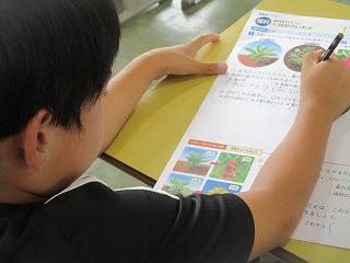 IMG_9528.jpg
