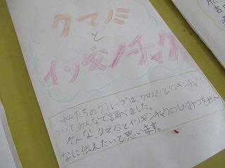 IMG_9545.jpg
