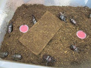 IMG_9585.jpg