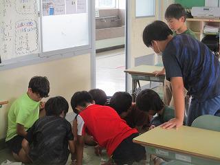 IMG_9768.jpg