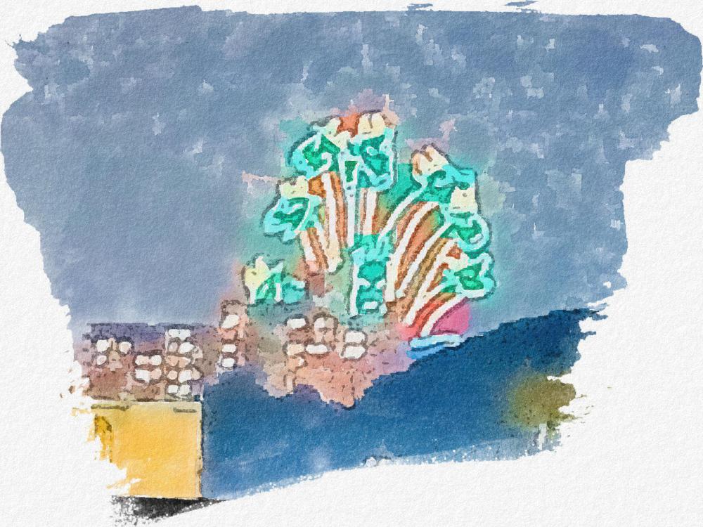 QniPaint_3.1.4(102)_1723110589842.jpg