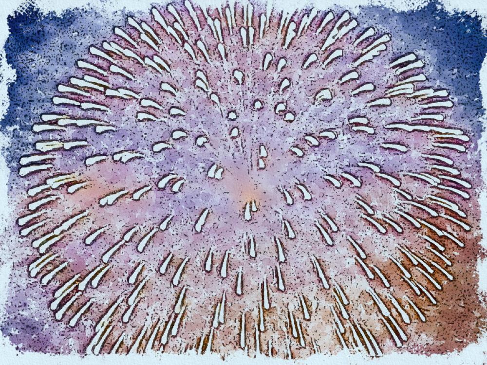 QniPaint_3.1.4(102)_1723110823474.jpg