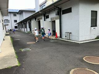 image0.jpg