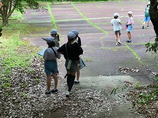 image9.jpg