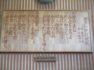 IMG_4822.jpg