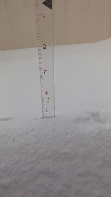 DSC03068.jpg
