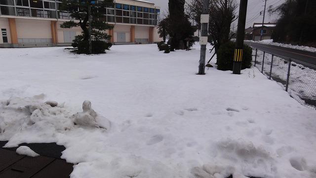 DSC03113.jpg
