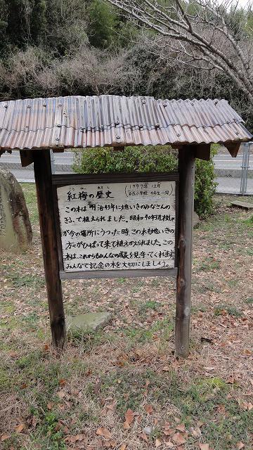 DSC03400.jpg
