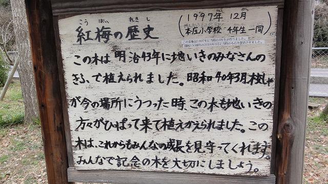DSC03401.jpg