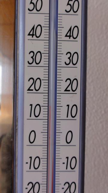 DSC03547.jpg