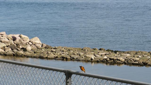 DSC03740.jpg