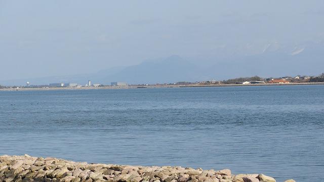 DSC03741.jpg