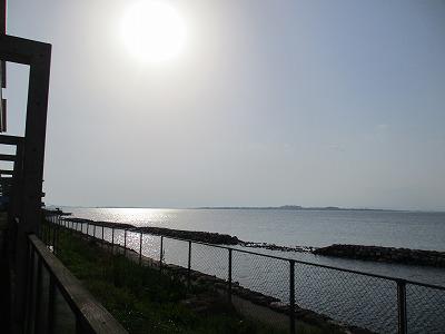 IMG_0699.jpg