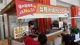 228_0675.jpg