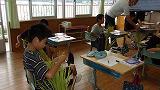239_1362.jpg