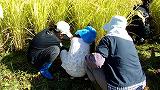 239_1412.jpg