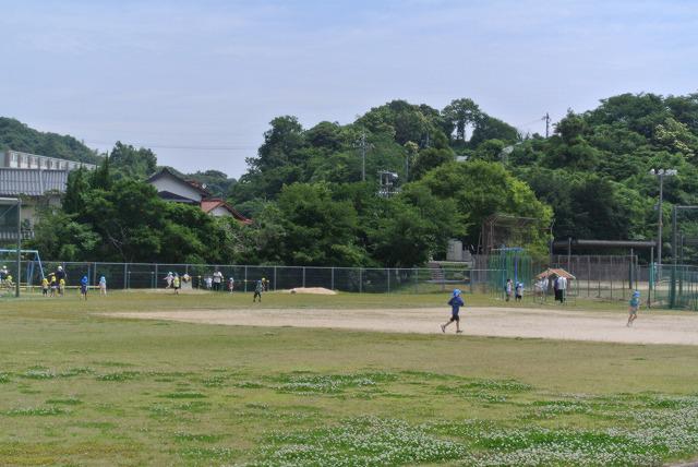 DSC_6886.jpg