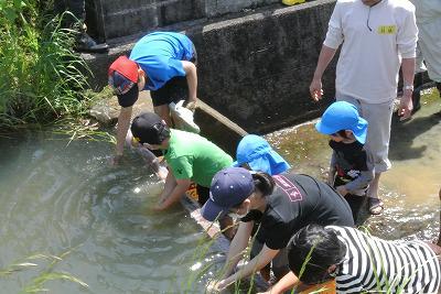 DSC_3866.jpg