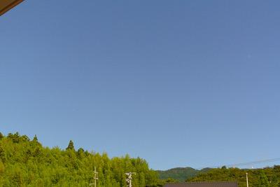 DSC_4611.jpg