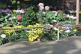 DSC_5454.jpg