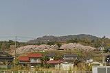 DSC_6241.jpg