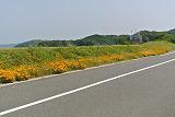 DSC_6488.jpg