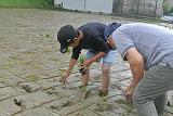 DSC_8637.jpg