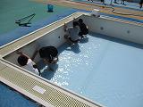 IMG_0002.jpg