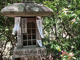 IMG_0047.jpg