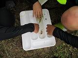 IMG_0088.jpg