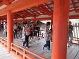 IMG_2158.jpg