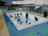 IMG_0017.jpg