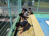 IMG_0019.jpg