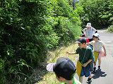 IMG_0034.jpg