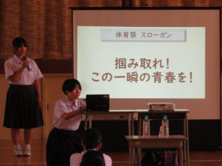 IMG_2706.JPG