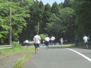 IMG_8337.JPG