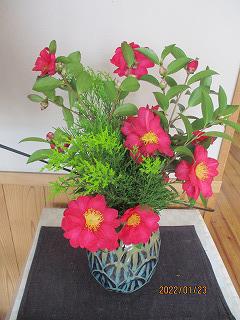 IMG_3051.jpg