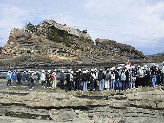 CIMG1367.jpg